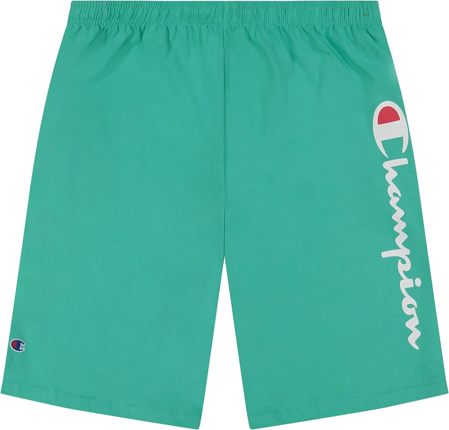 Champion Big and Tall Shorts for Men – Side Script Jersey Athletic Gym Shorts